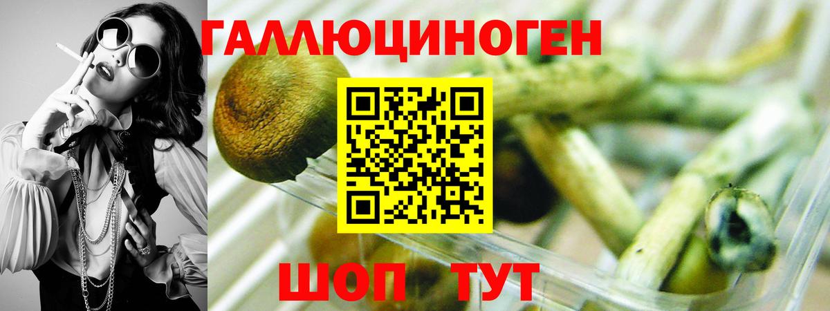 Псилоцибиновые грибы MAGIC MUSHROOMS Балашиха