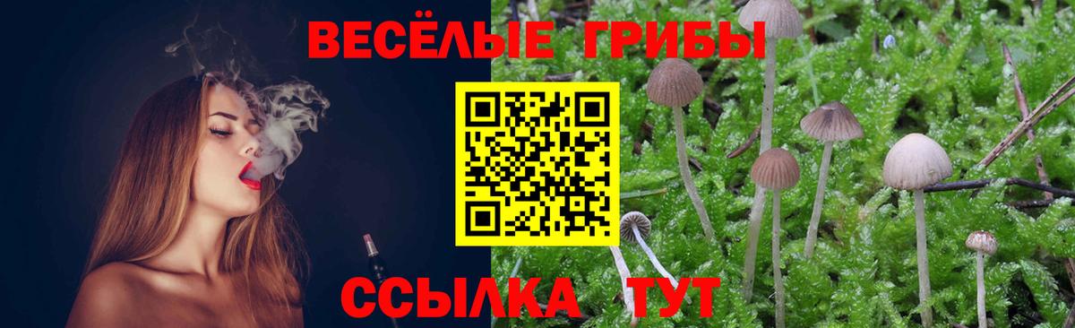 Балашиха  Галлюциногенные грибы Psilocybe  Вход с VPN  Псилоцибиновые грибы Psilocybine cubensis 
